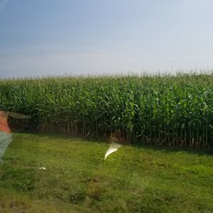 Meet your Posher, Jc